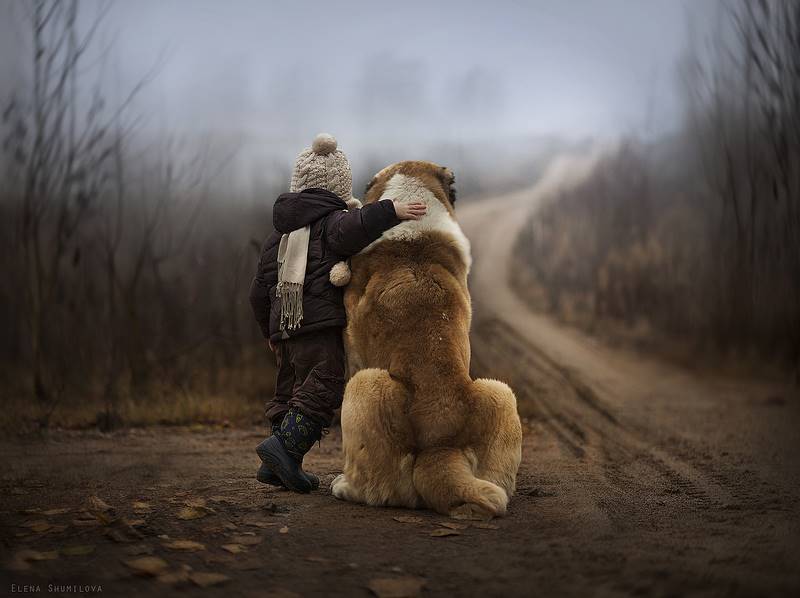 elena-shumilova-01