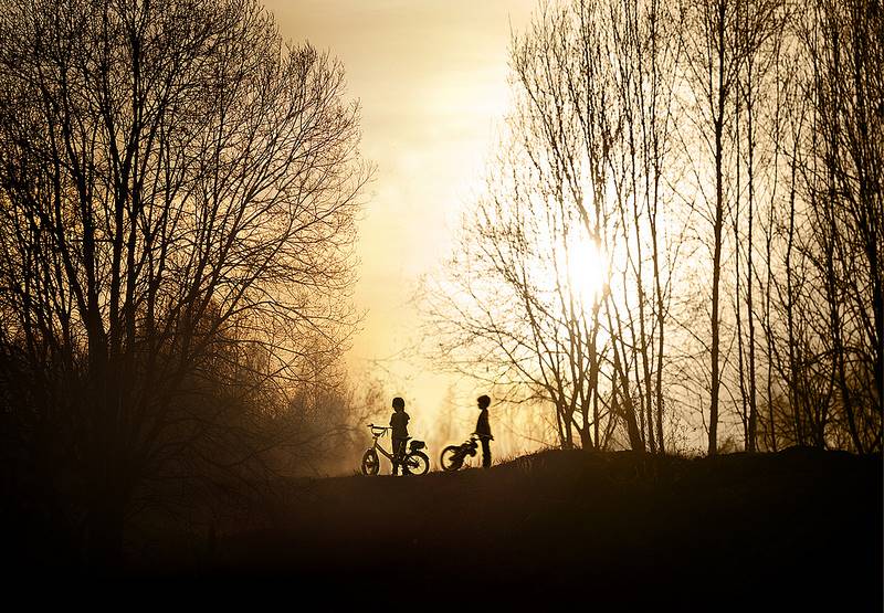 elena-shumilova-06