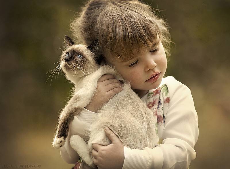 elena-shumilova-08