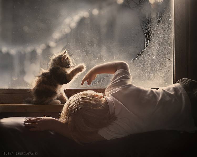 elena-shumilova-16