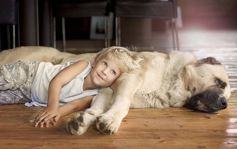 elena-shumilova-20