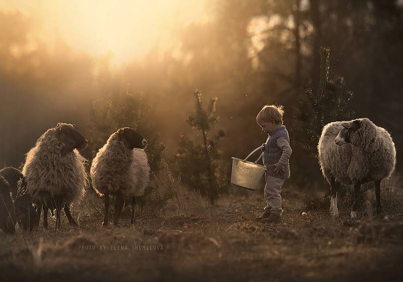 elena-shumilova-25