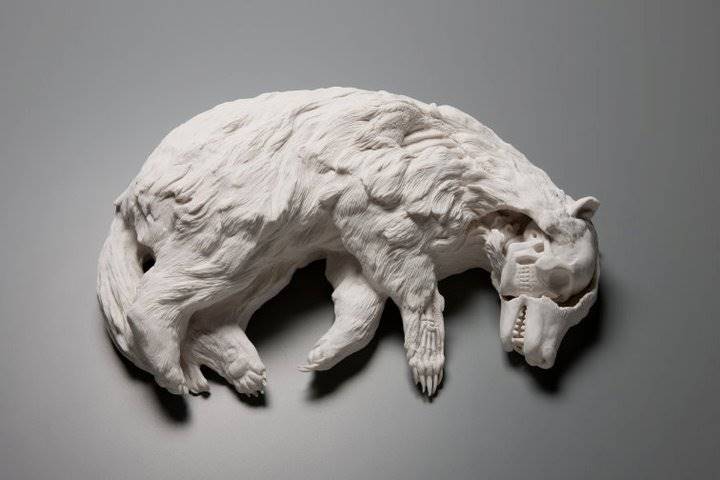 kate-macdowell-01
