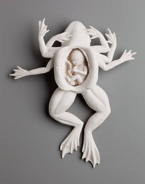 kate-macdowell-03