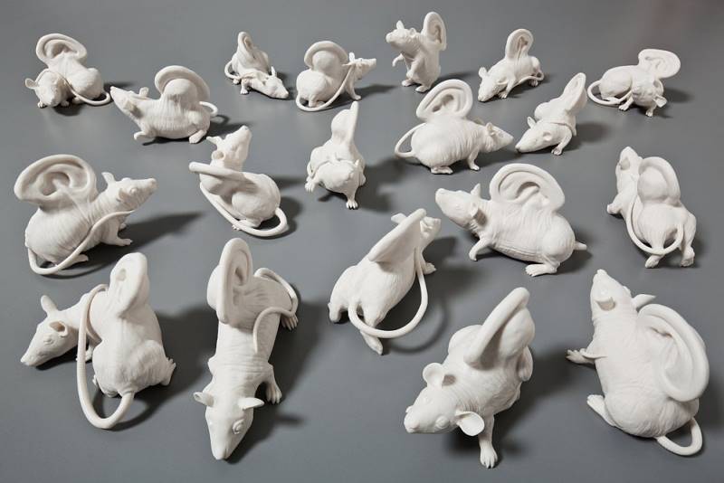 kate-macdowell-06