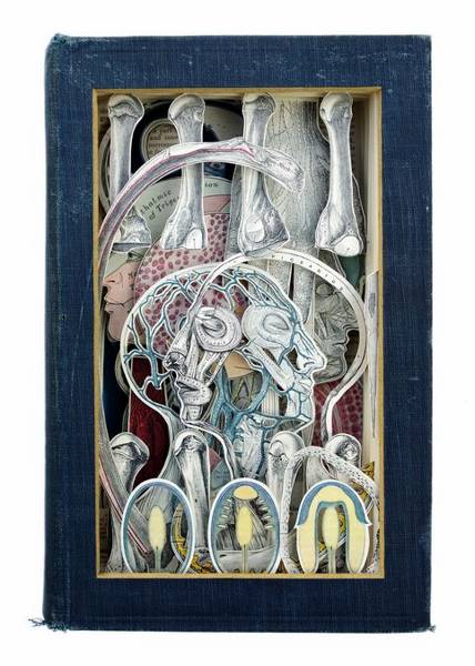 alexander-korzer-robinson-07