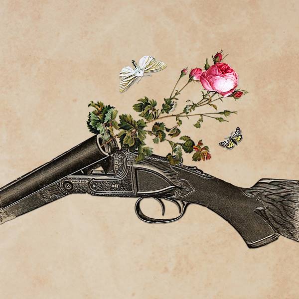 One Gun, One Rose, Two Moths