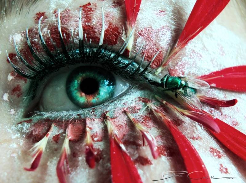 pixiecold_eye-makeup-03