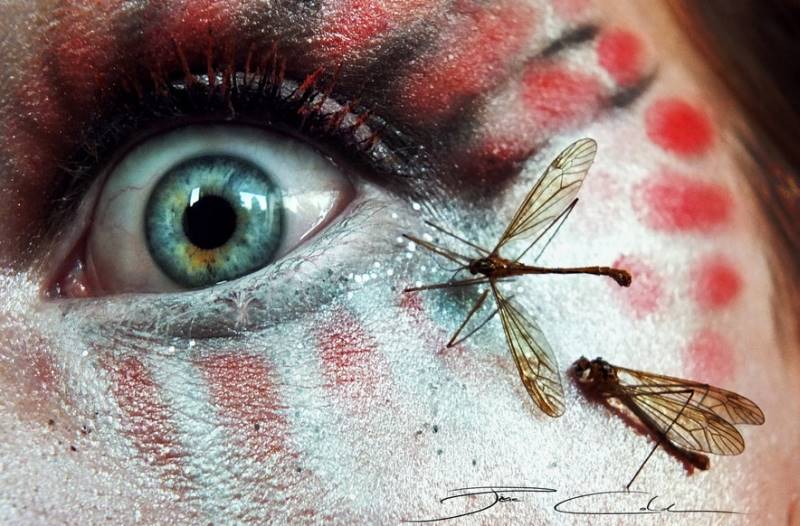 pixiecold_eye-makeup-14
