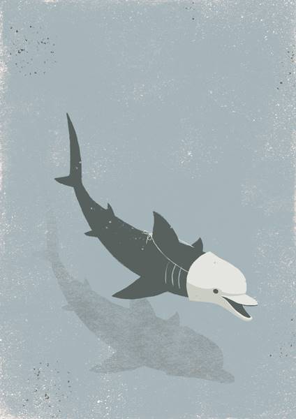 Davide-Bonazzi-27
