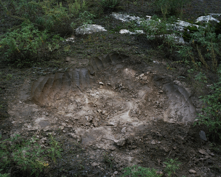 danila-tkachenko-02