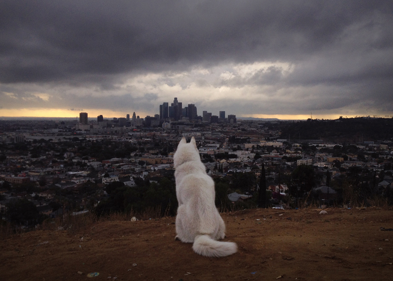john-and-wolf-14