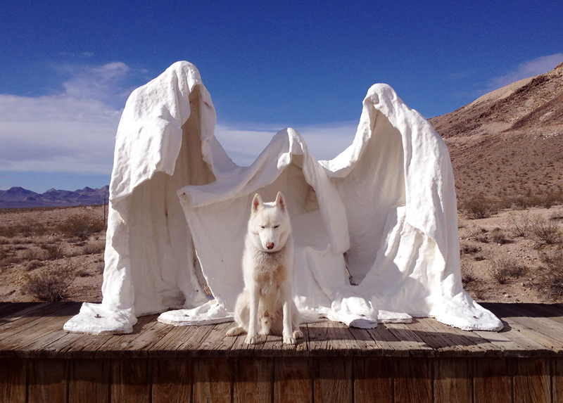 john-and-wolf-15