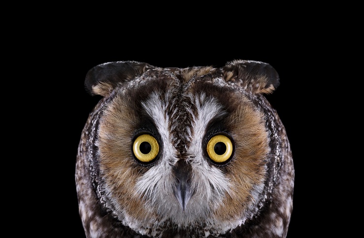brad-wilson-13