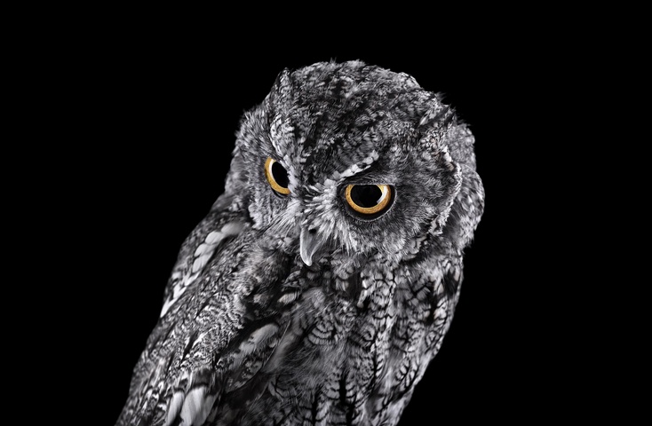 brad-wilson-18