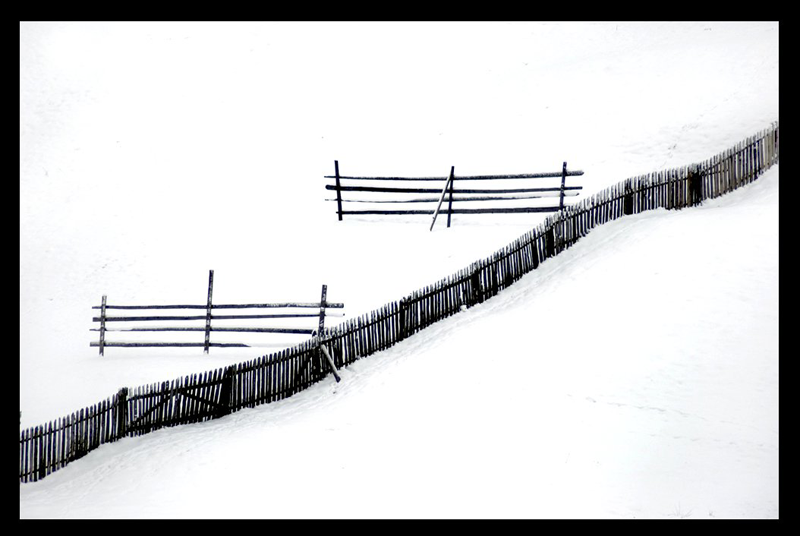 alex-robciuc-01