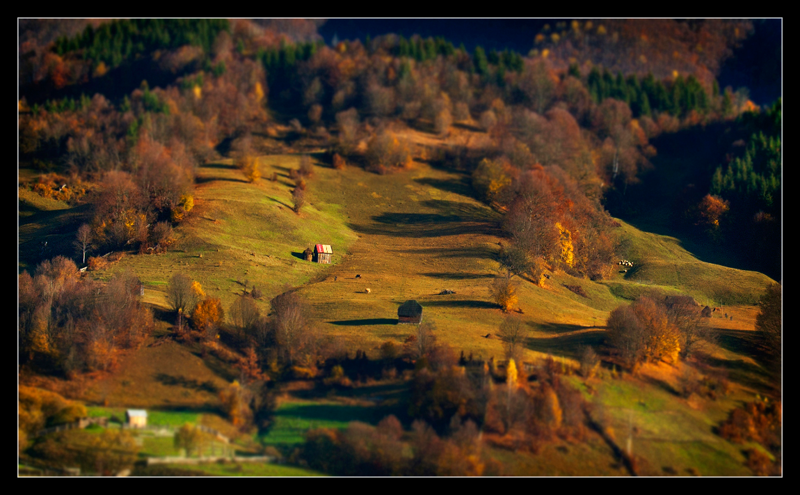 alex-robciuc-01