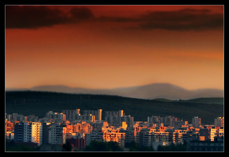 alex-robciuc-01