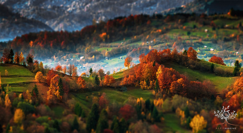 alex-robciuc-01