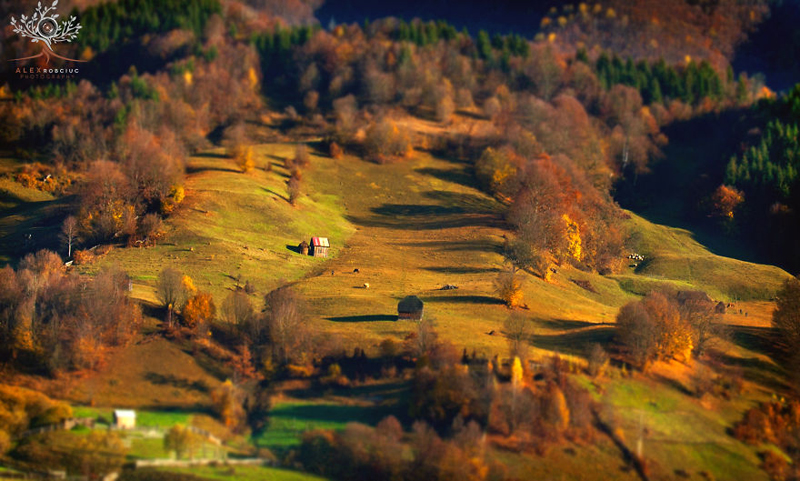alex-robciuc-01