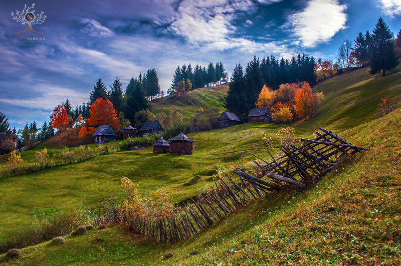 alex-robciuc-01