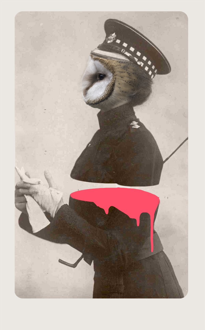 julia-geiser-13