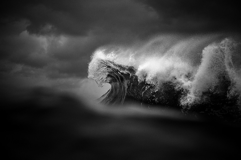 Fury - Ray Collins