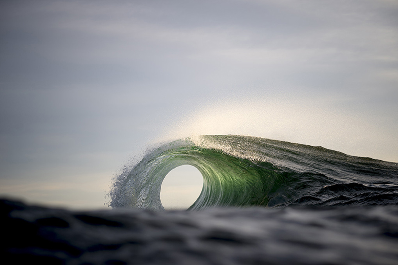 Portal - Ray Collins