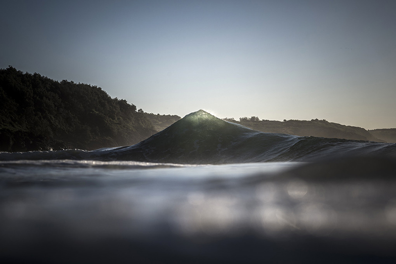 Wedge - Ray Collins