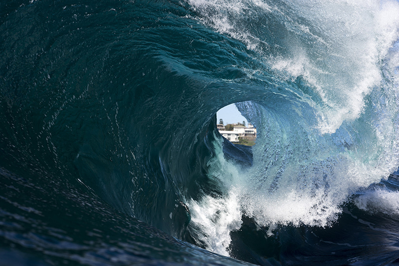 House - Ray Collins