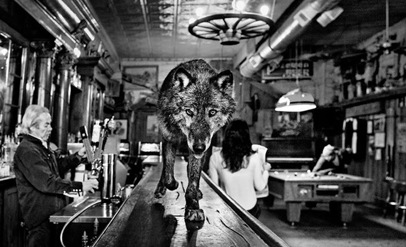 david-yarrow-04