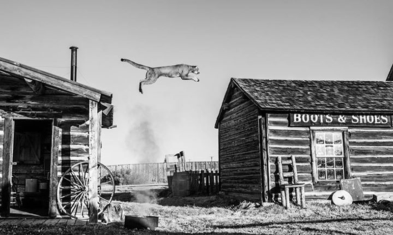 david-yarrow-05