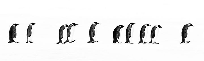 david-yarrow-08