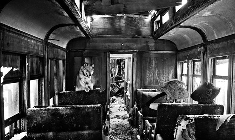 david-yarrow-10