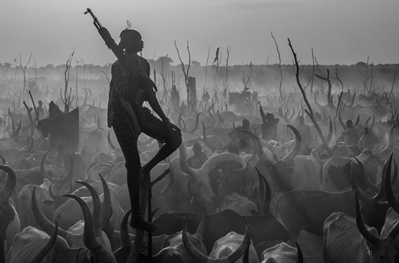 david-yarrow-14