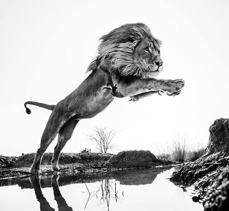 david-yarrow-16