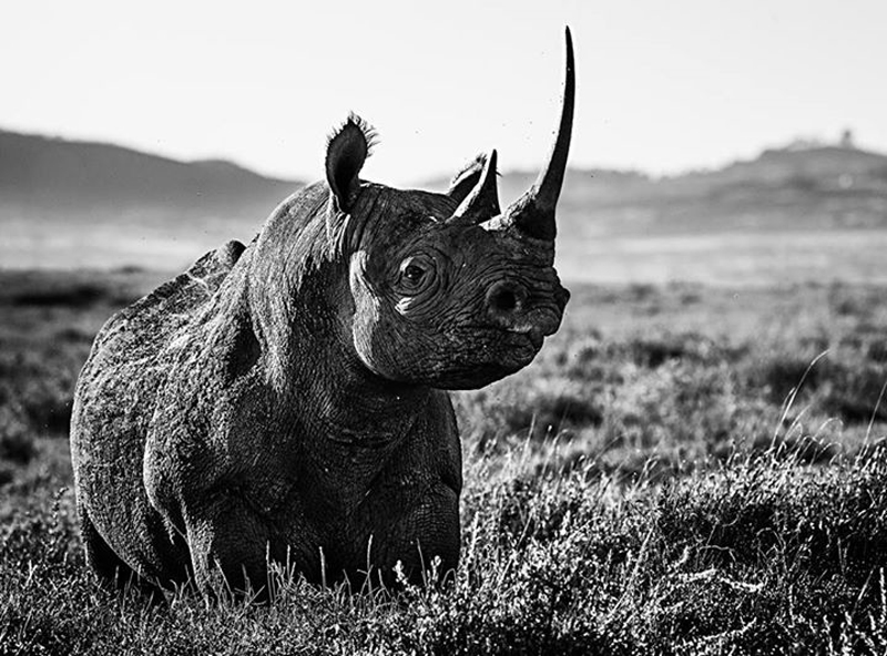 david-yarrow-21