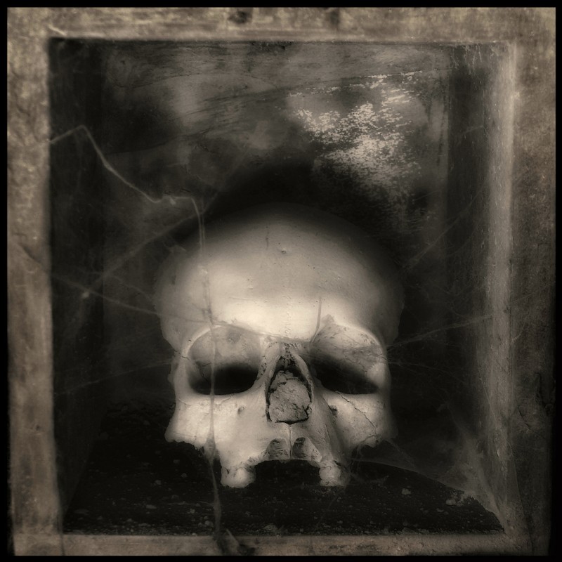 augusto-de-luca_memento-mori-01