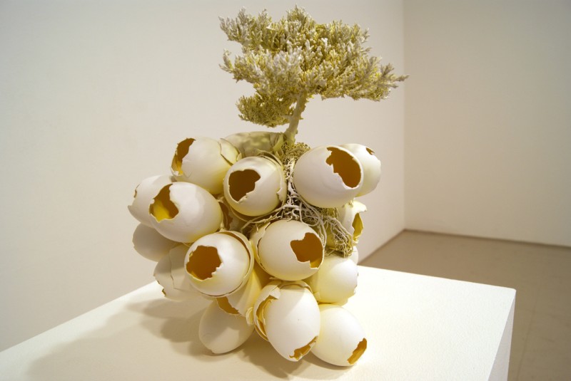 jonathan-latiano-16