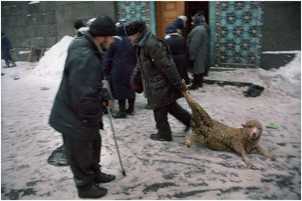 sergey-maksimishin-09
