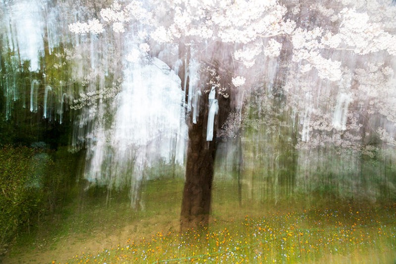 yoshinori-mizutani-05