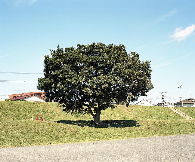 yoshinori-mizutani-30